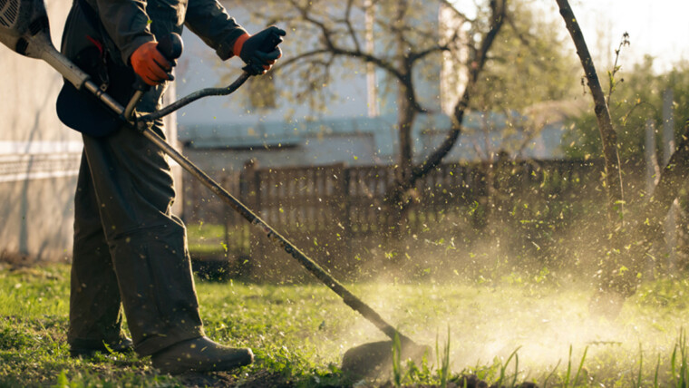 Landscaping