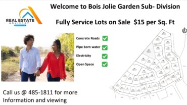 Real Estate Developing